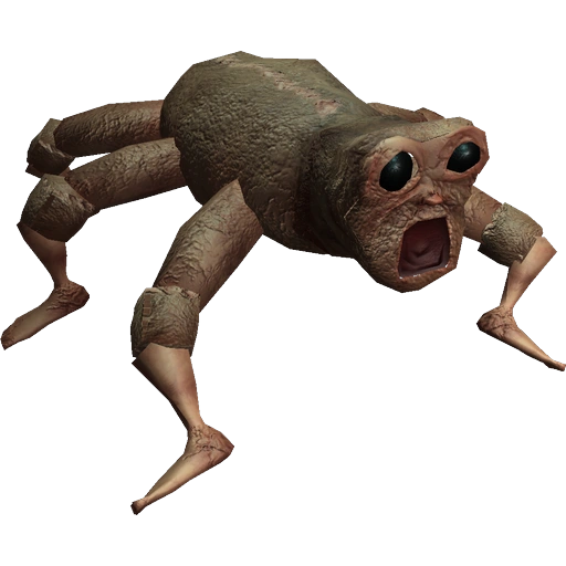 Animal